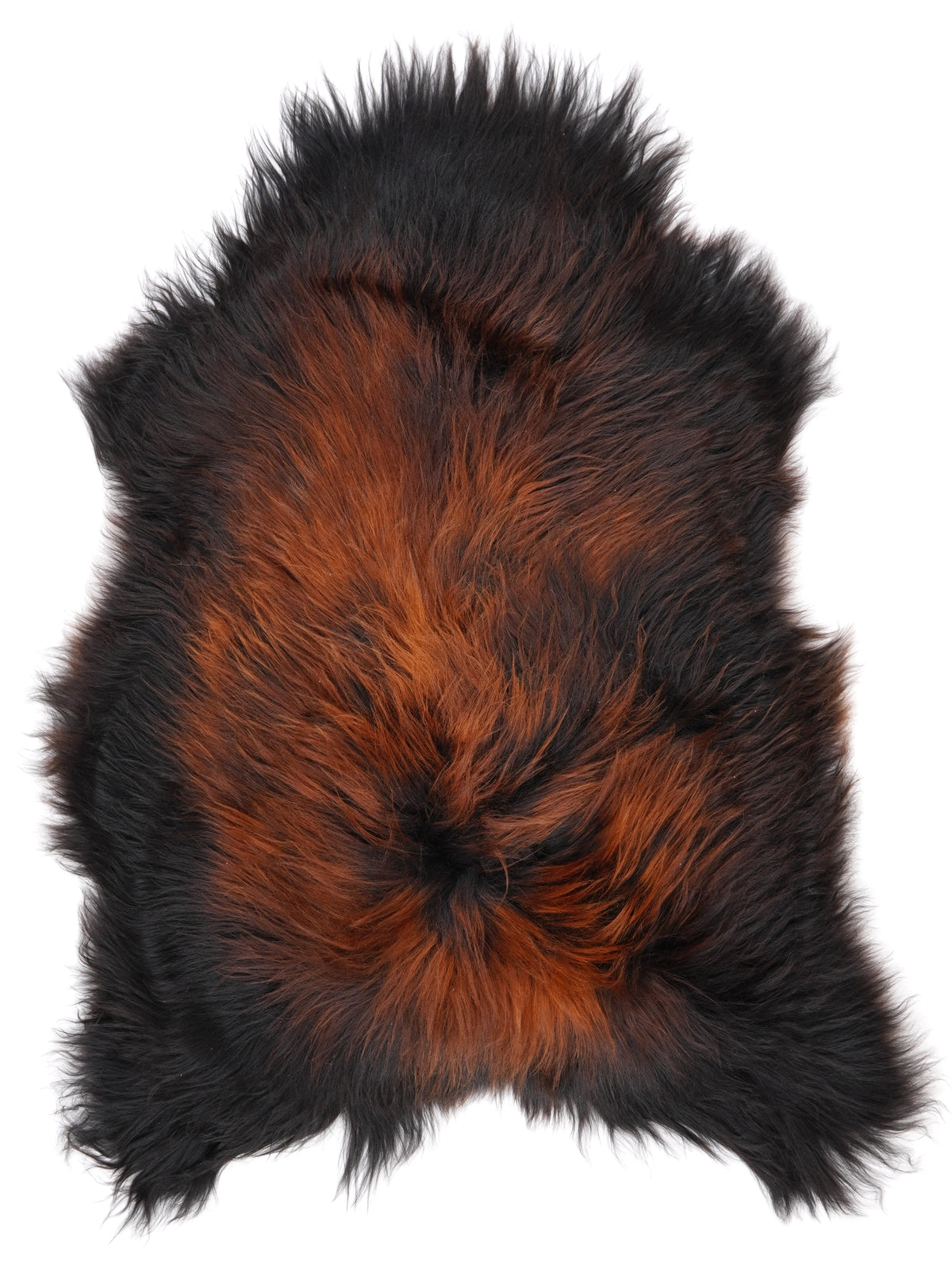 NM00097