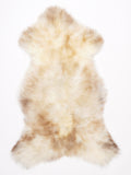 ML00097