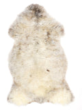 NC00095