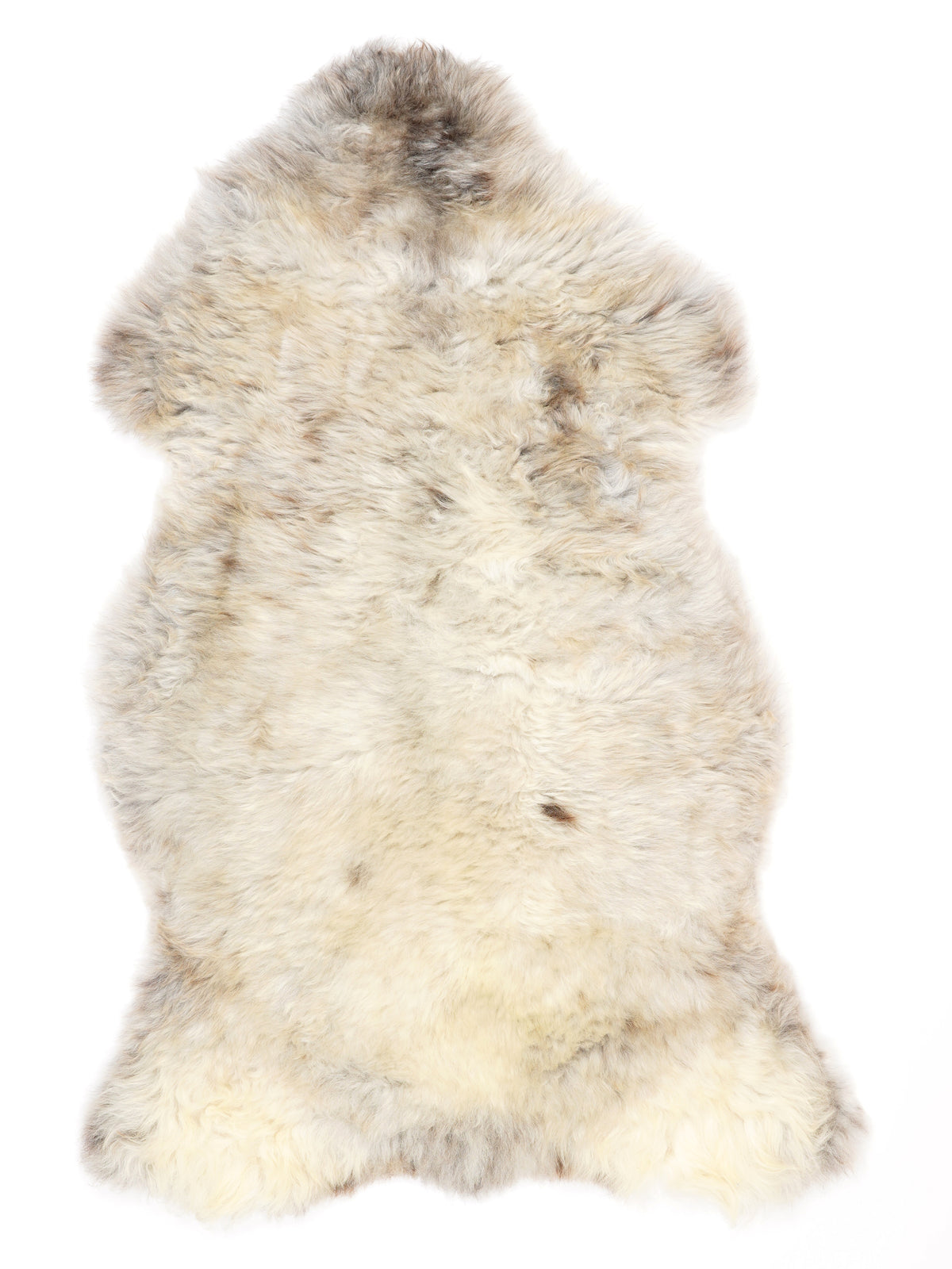NC00095
