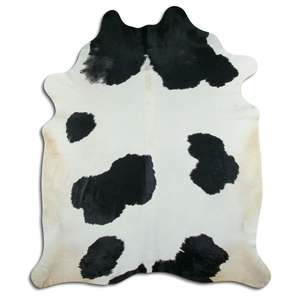 Peau de vache noire et blanche XXXL