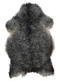 NH00008