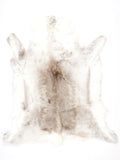 NF00013
