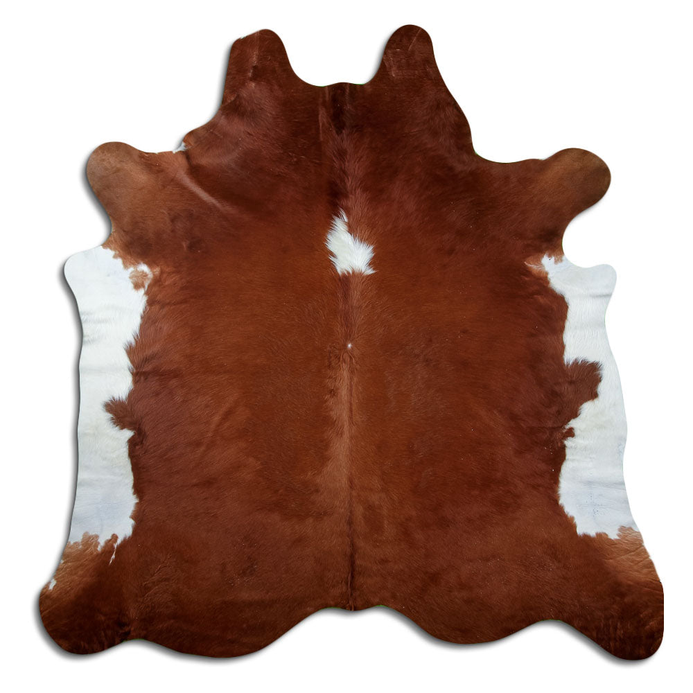 Peau de vache marron et blanc d’environ 230 × 220 cm, vue de dessus : exactement la peau que vous recevez