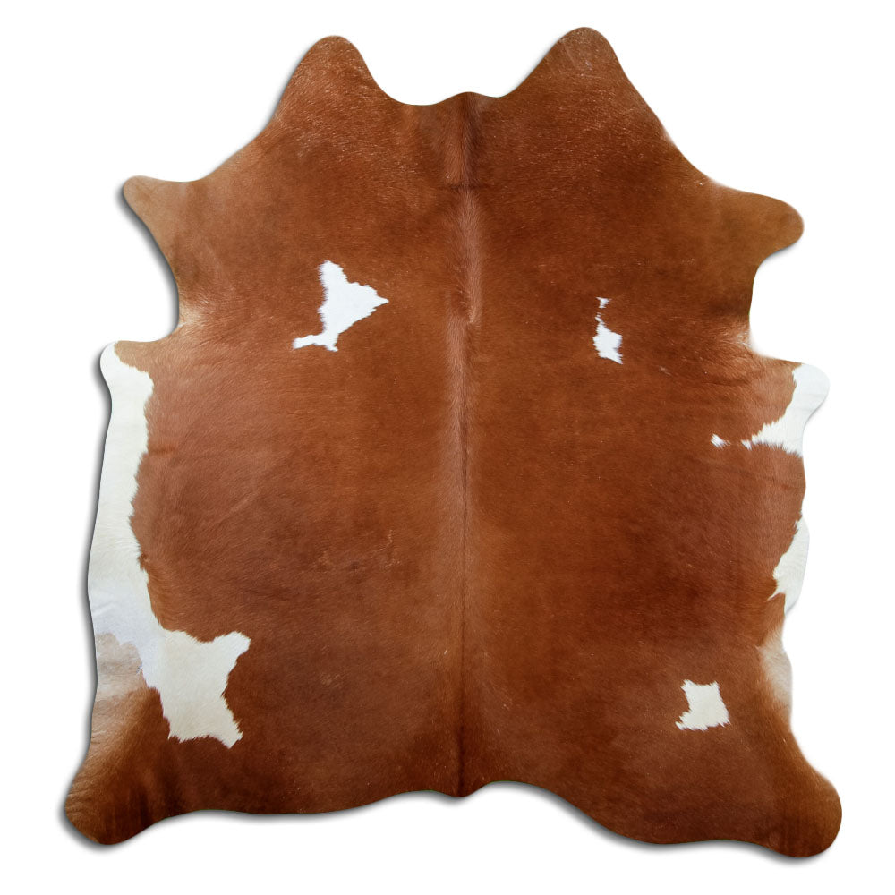 Peau de vache marron et blanc d’environ 200 × 190 cm, vue de dessus : exactement la peau que vous recevez