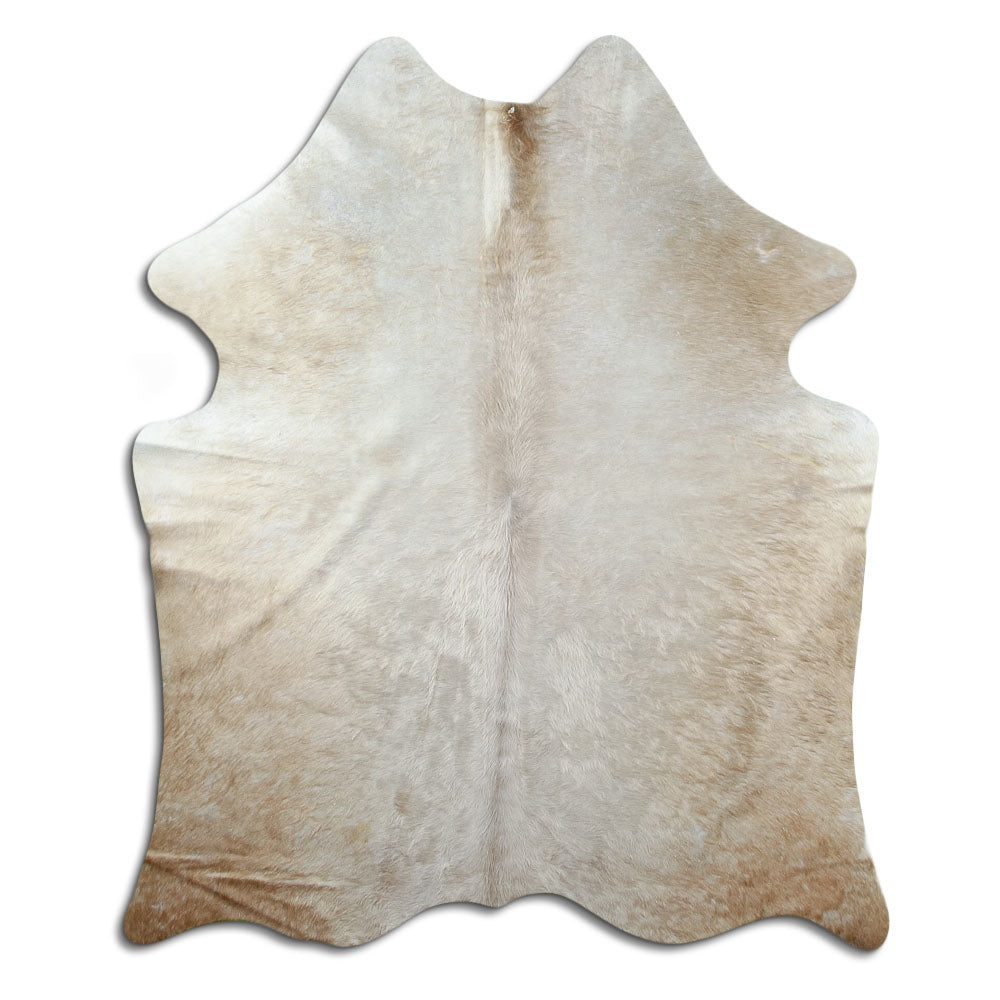 Peau de vache champagne d’environ 170 × 150 cm, vue de dessus : exactement la peau que vous recevez