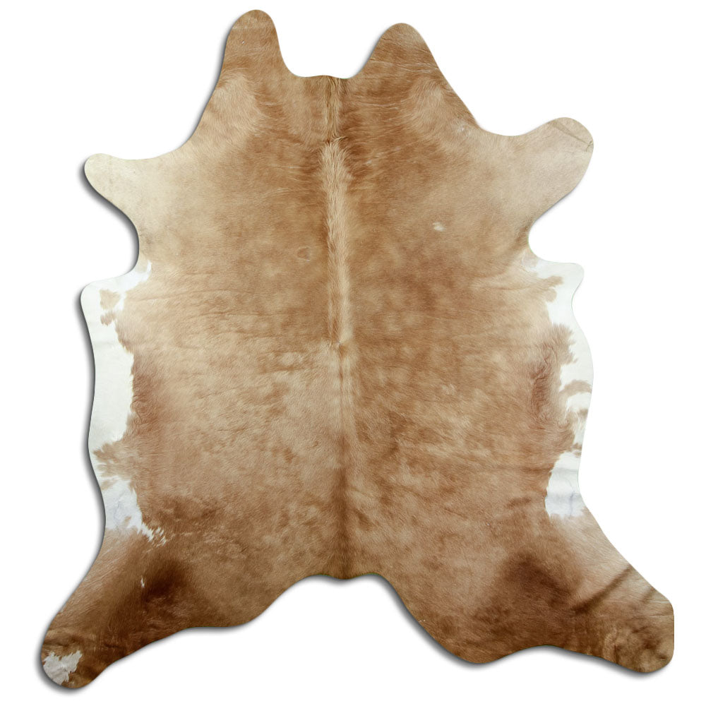 Peau de vache marron d’environ 230 × 210 cm, vue de dessus : exactement la peau que vous recevez