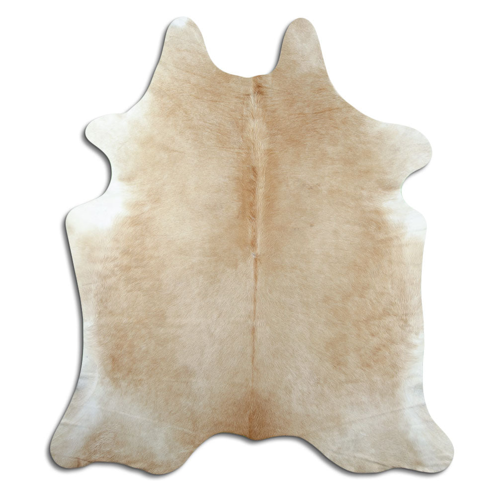 Peau de vache marron d’environ 200 × 180 cm, vue de dessus : exactement la peau que vous recevez