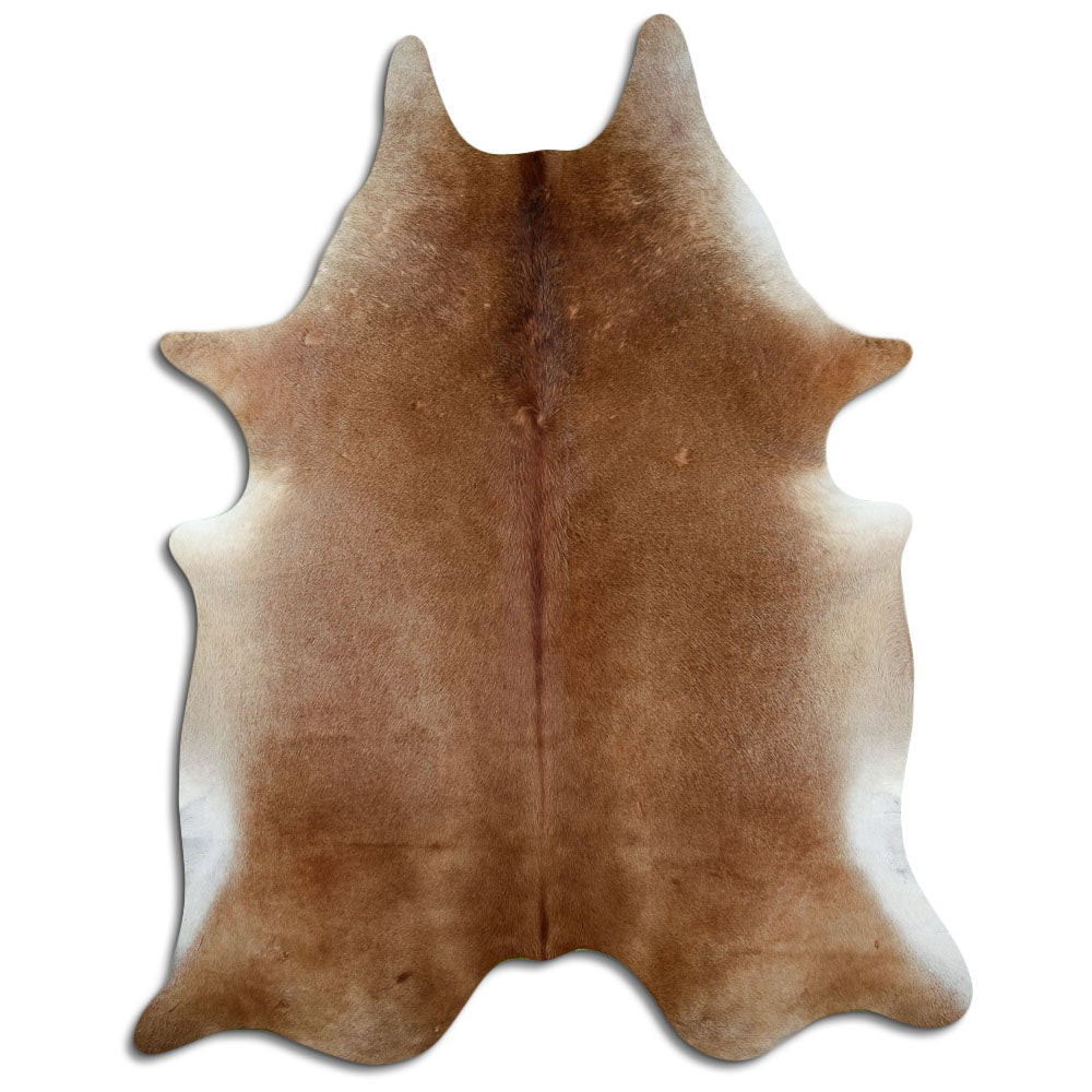 Peau de vache marron d’environ 250 × 200 cm, vue de dessus : exactement la peau que vous recevez