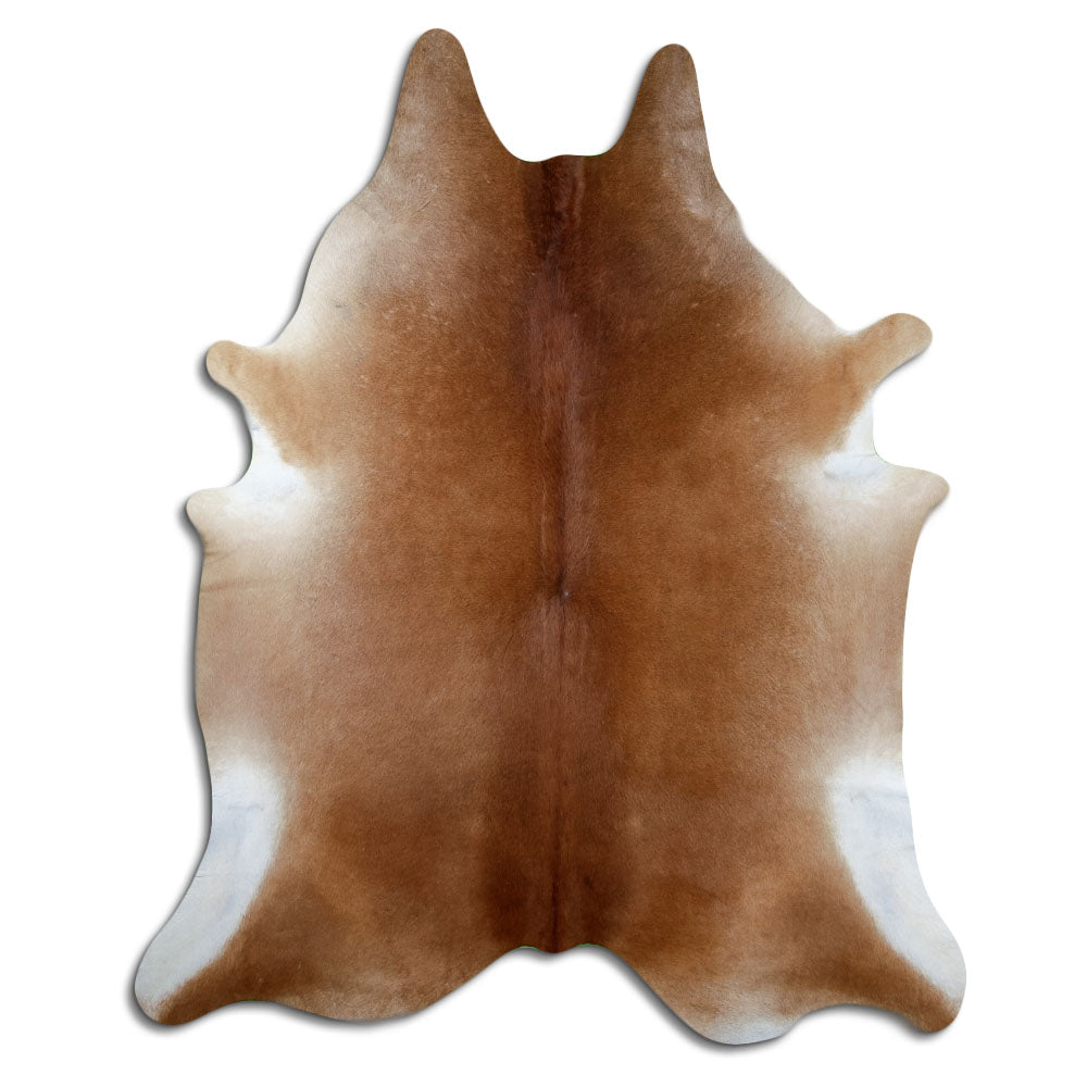 Peau de vache marron d’environ 230 × 190 cm, vue de dessus : exactement la peau que vous recevez