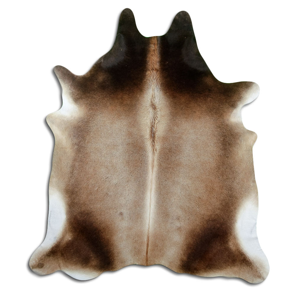 Peau de vache marron d’environ 210 × 190 cm, vue de dessus : exactement la peau que vous recevez