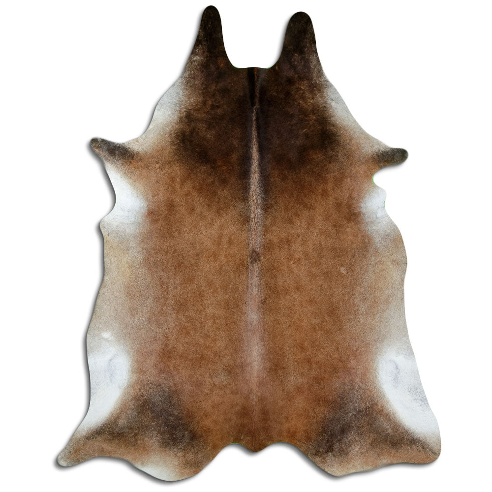 Peau de vache marron d’environ 240 × 190 cm, vue de dessus : exactement la peau que vous recevez