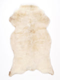 NG00020