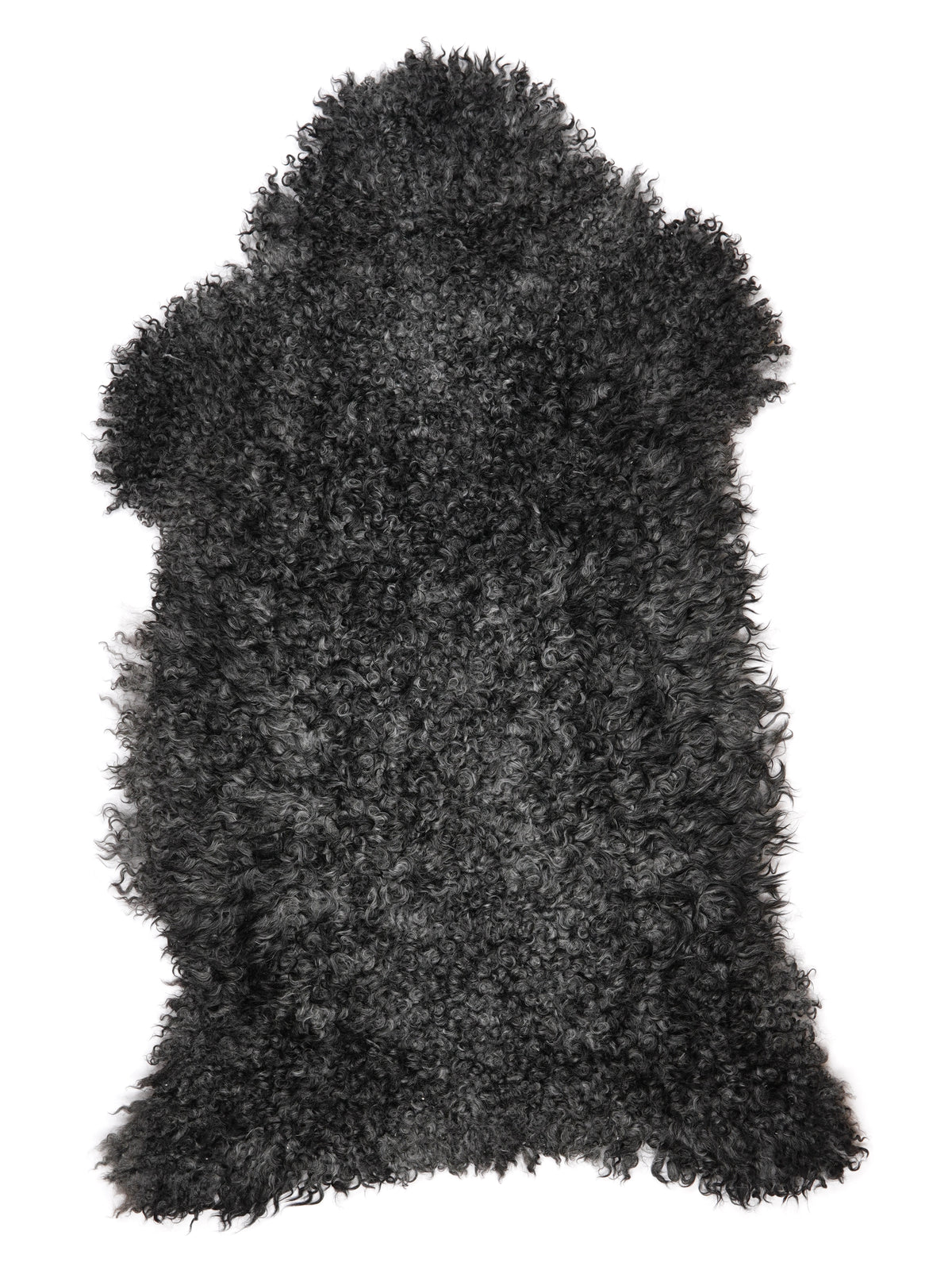 NH00006