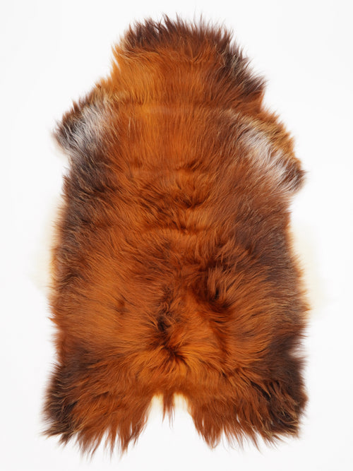 OX00041
