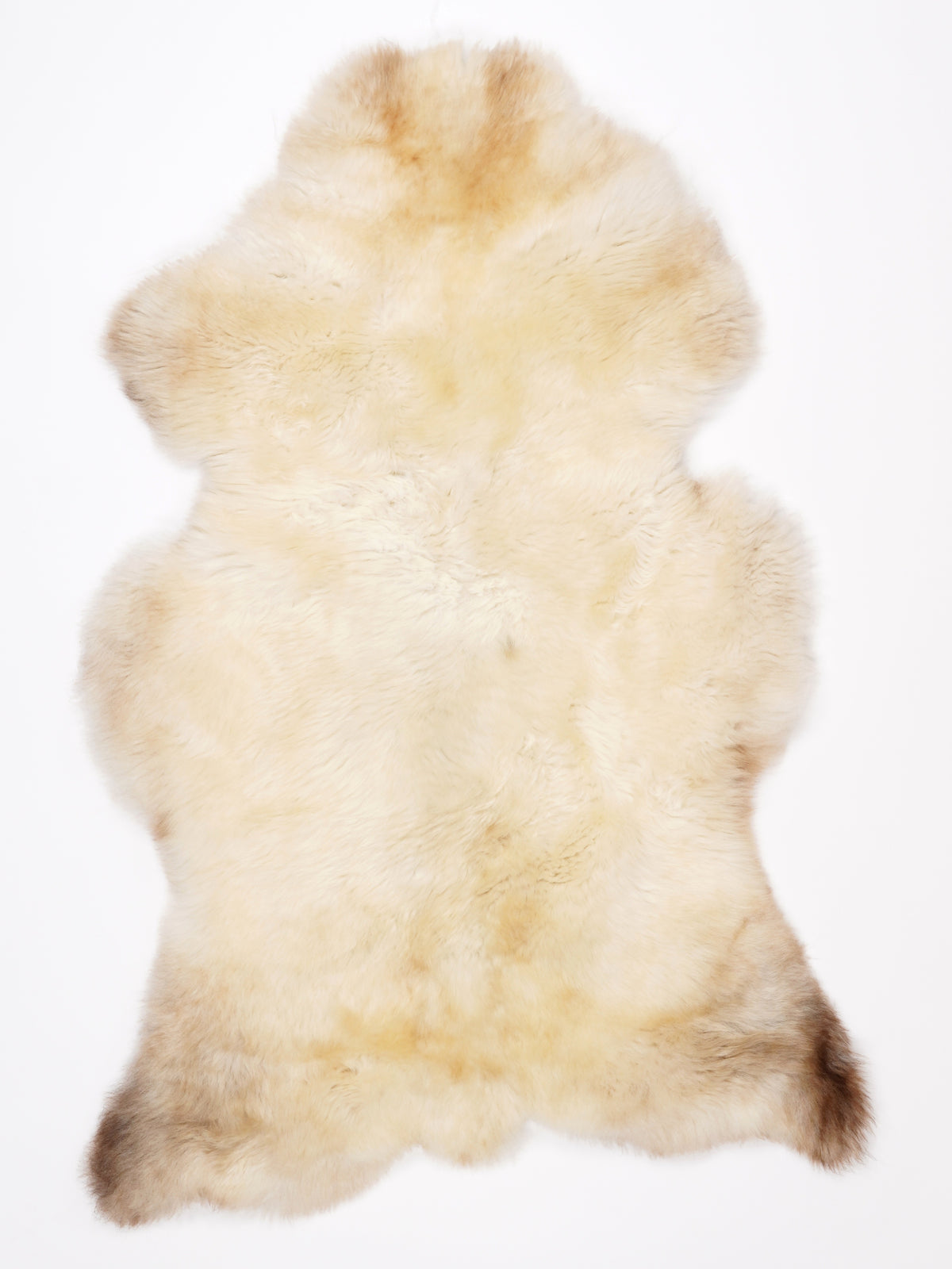 NF00097