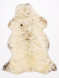 MM00058