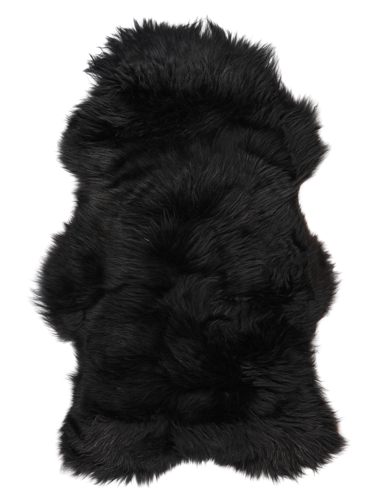 NC00047