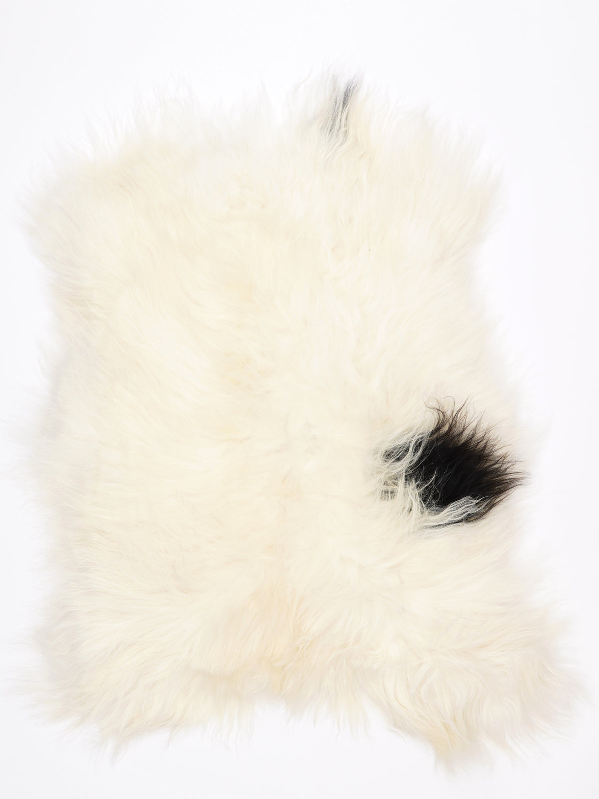 MU00005