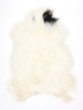 MW00067