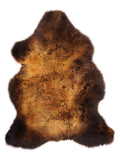 MQ00081