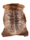 NM00019