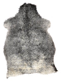 NQ00022