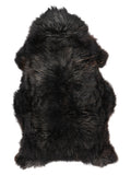 NC00045