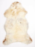 MA00062