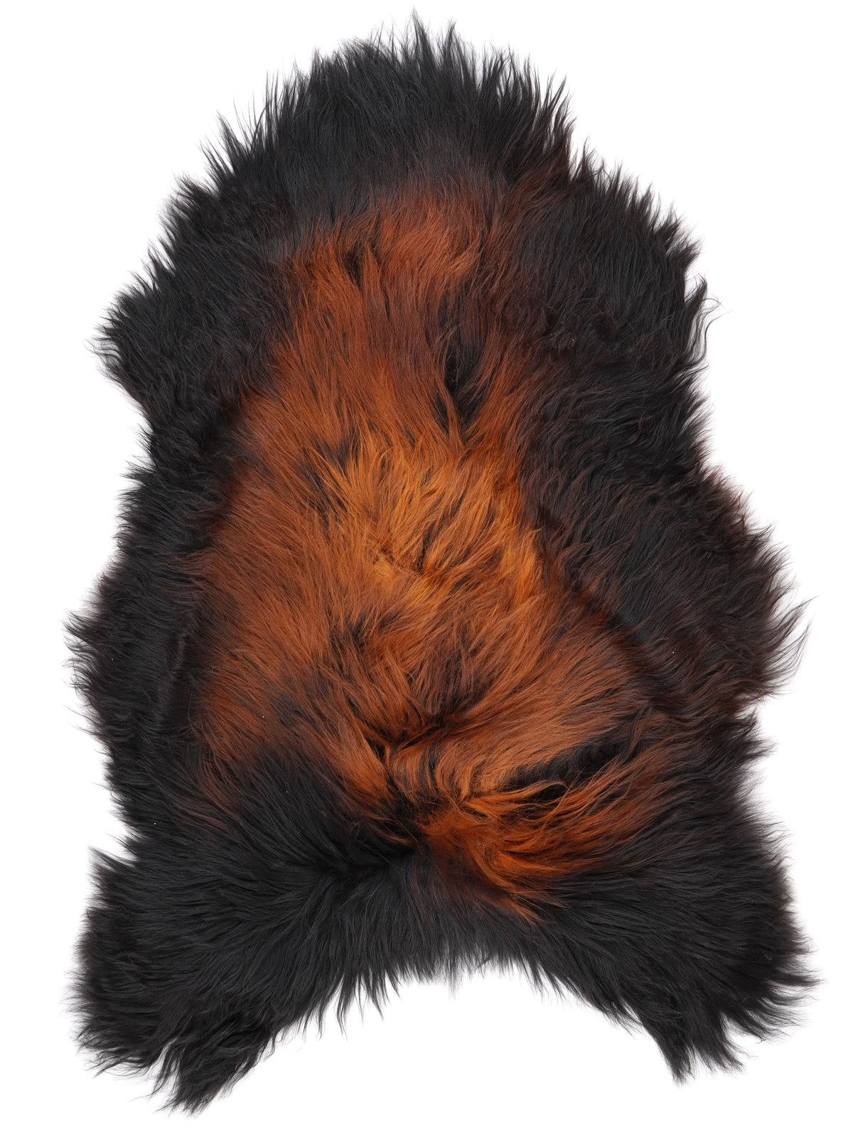 NM00096