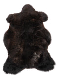 NF00078