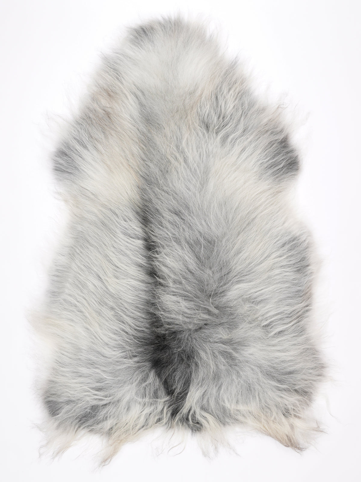 NM00083