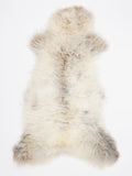 OP00026