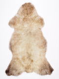 MV00006