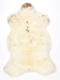 NG00022
