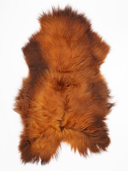 OX00035