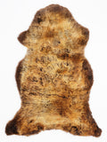 OP00037