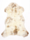 ML00085