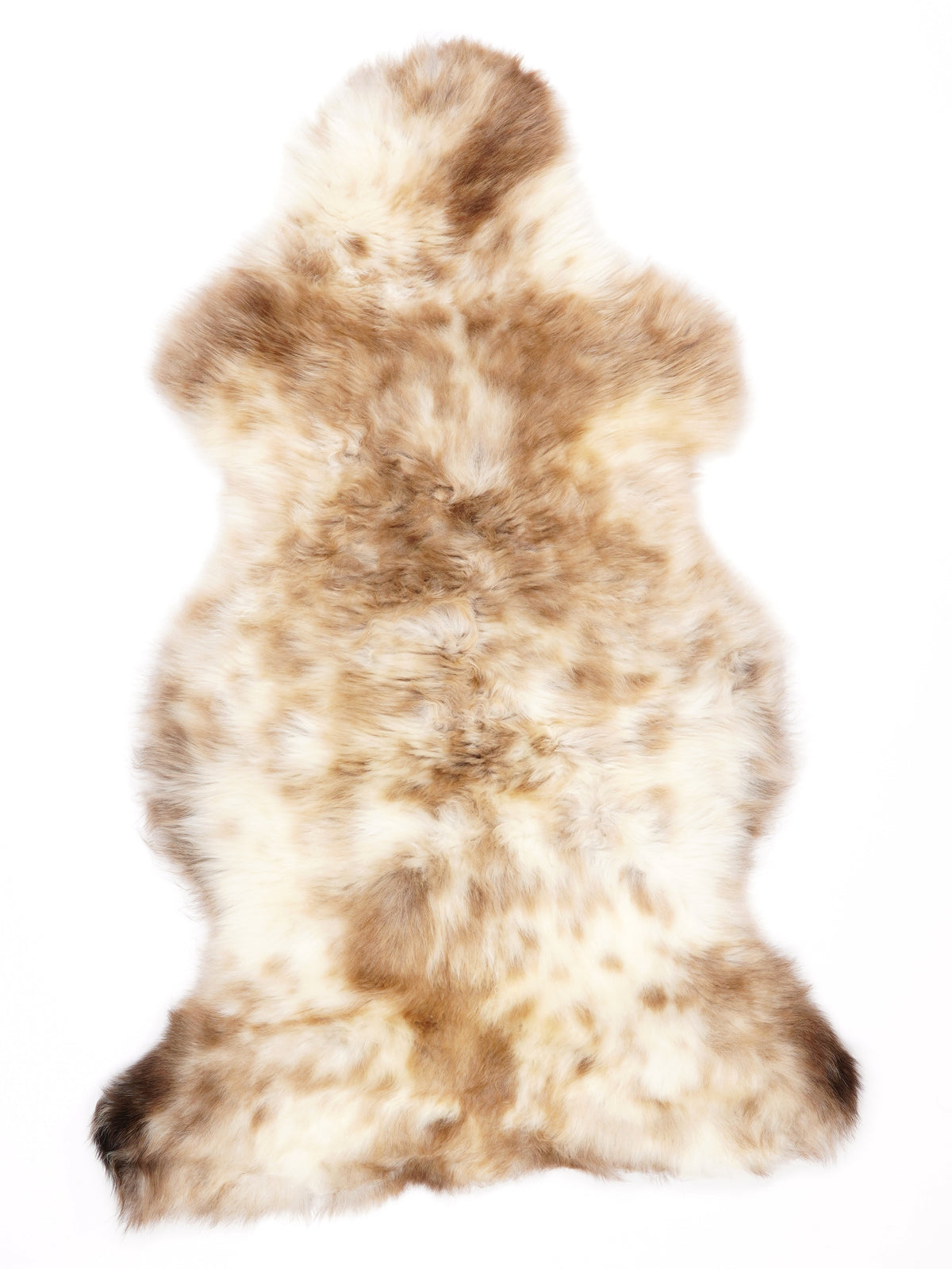NM00008