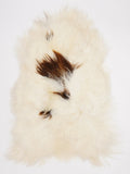 OQ00088