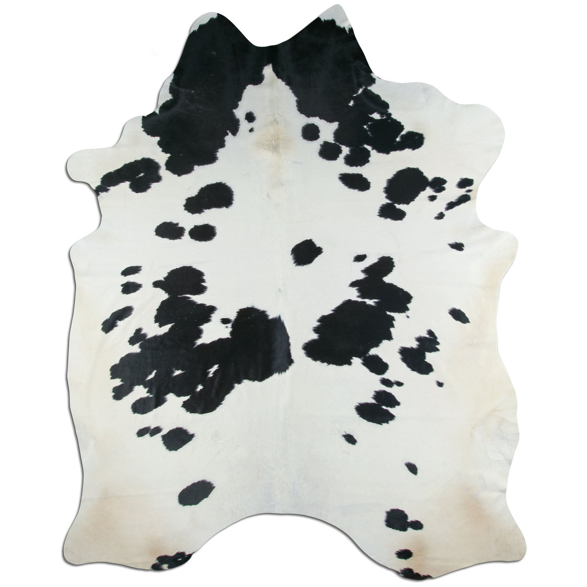 Peau de vache noire et blanche XXXL