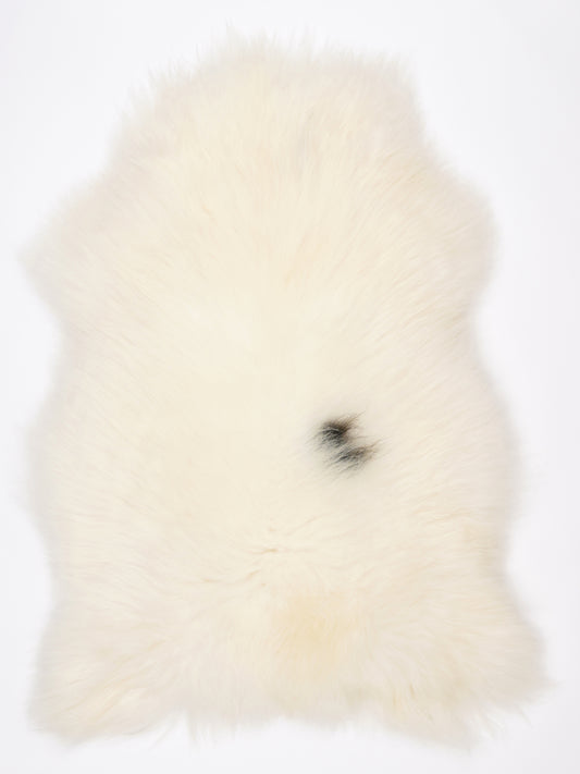 NV00019