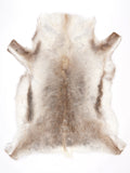 NQ00038