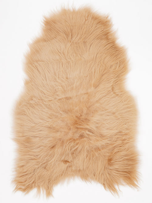 OX00096