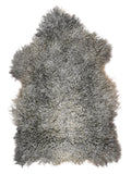 NH00007