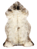 NC00021