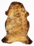 OP00038