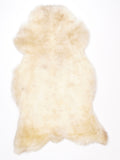 NG00010