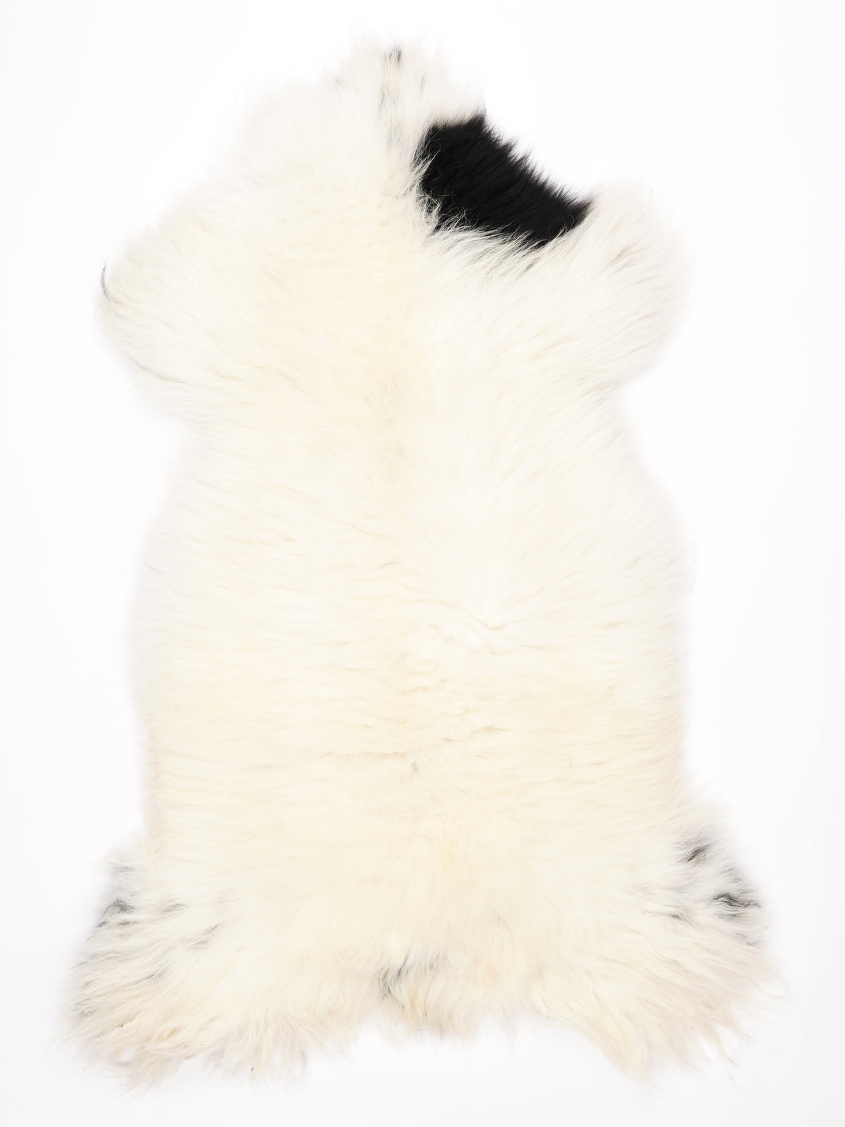MM00006