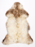 ML00084